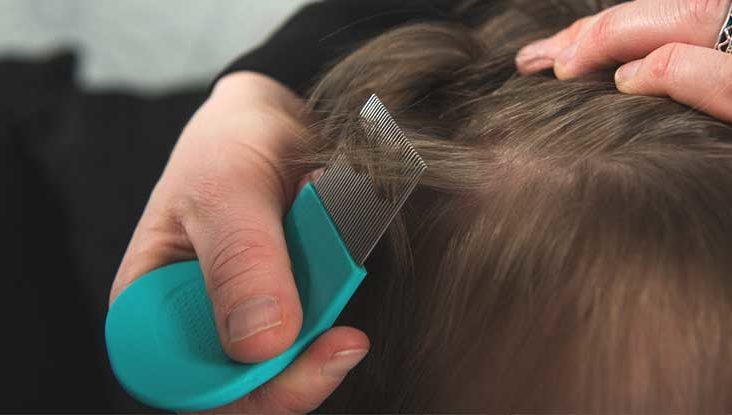 Head Lice Treatments